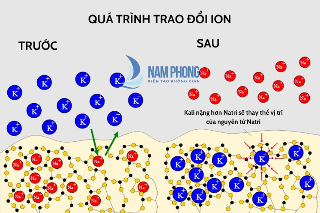 Quá trình trao đổi ion